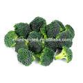 china fresh broccoli